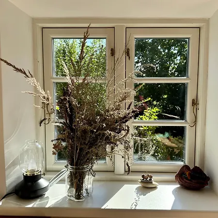 Mecklenbue Mit Teich, Kamin, Sauna Und Hotpott Dargun Extérieur photo