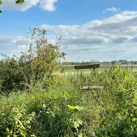 Mecklenbue Mit Teich, Kamin, Sauna Und Hotpott Dargun Extérieur photo