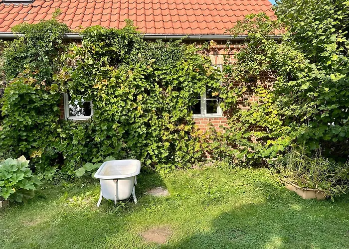 Mecklenbue Mit Teich, Kamin, Sauna Und Hotpott